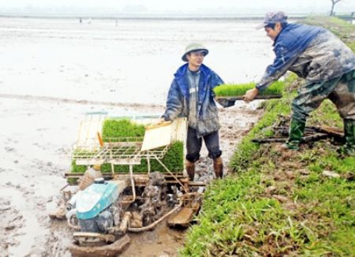 Ðẩy mạnh cơ giới hóa nông nghiệp tại Hà Nội
