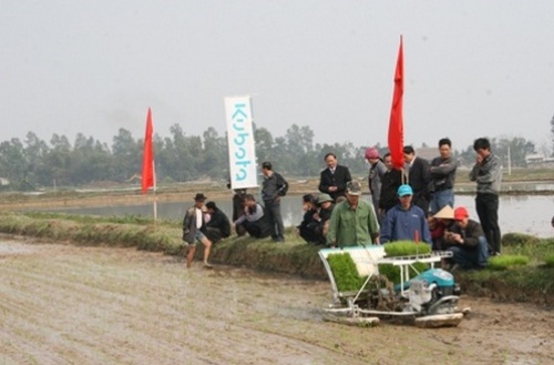 Bước đột phá trong sản xuất lúa ở Sóc Sơn